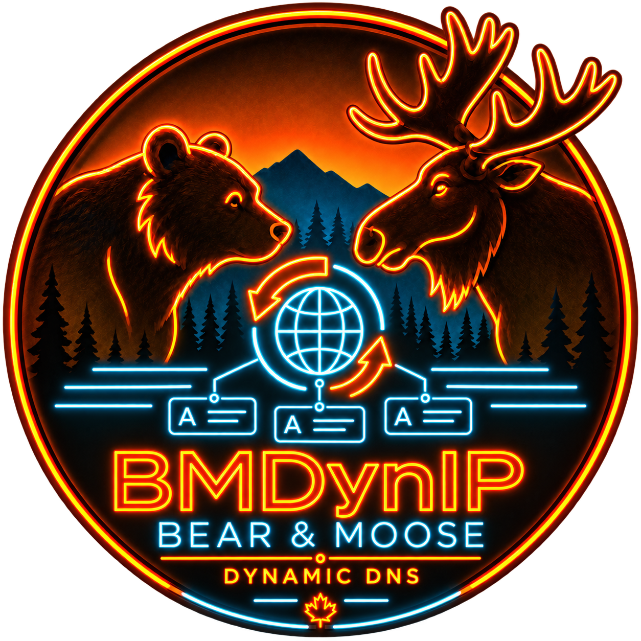 BMDynIP